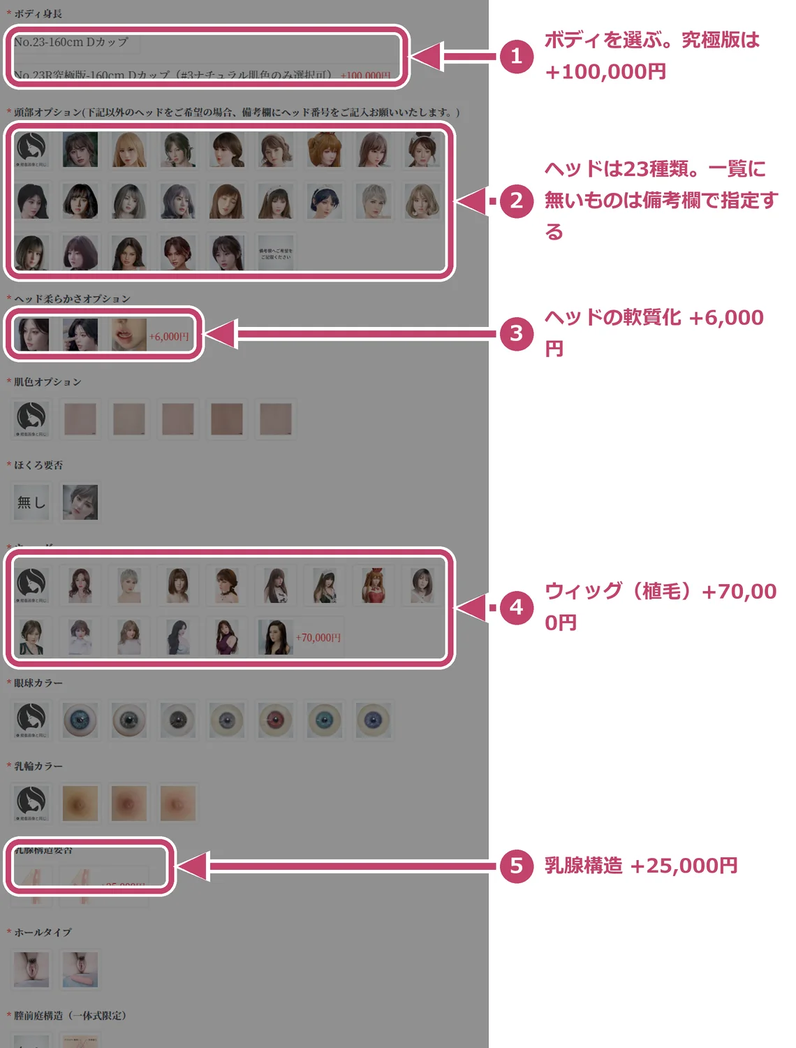 代理店の注文画面。ボディ身長・頭部オプション23種・ヘッドの軟質化・ウィッグ・乳腺構造など16項目を指定する